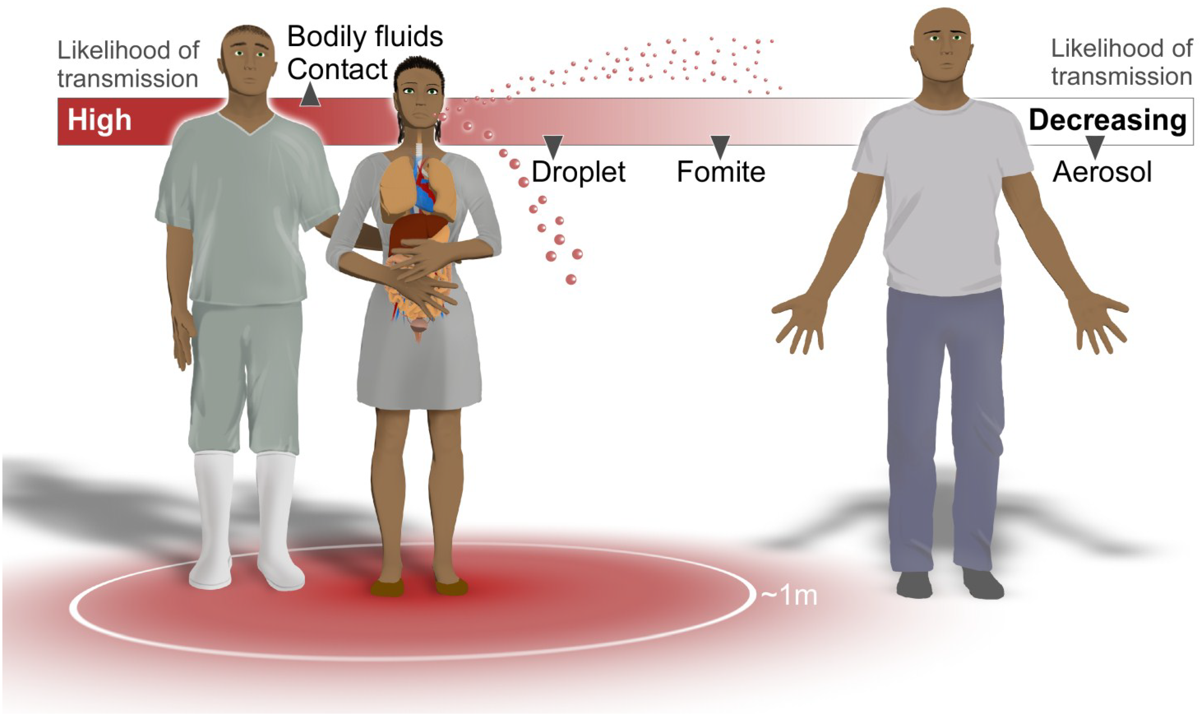 http://www.mdpi.com/viruses/viruses-07-00511/article_deploy/html/images/viruses-07-00511-g001.png